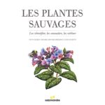 Les plantes sauvage